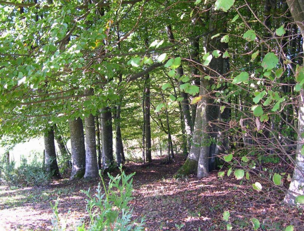 Gite Les Hirondelles Plombières-les-Bains Exterior foto